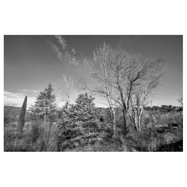 PHOTO84, CLUB, 84 , LUBERON